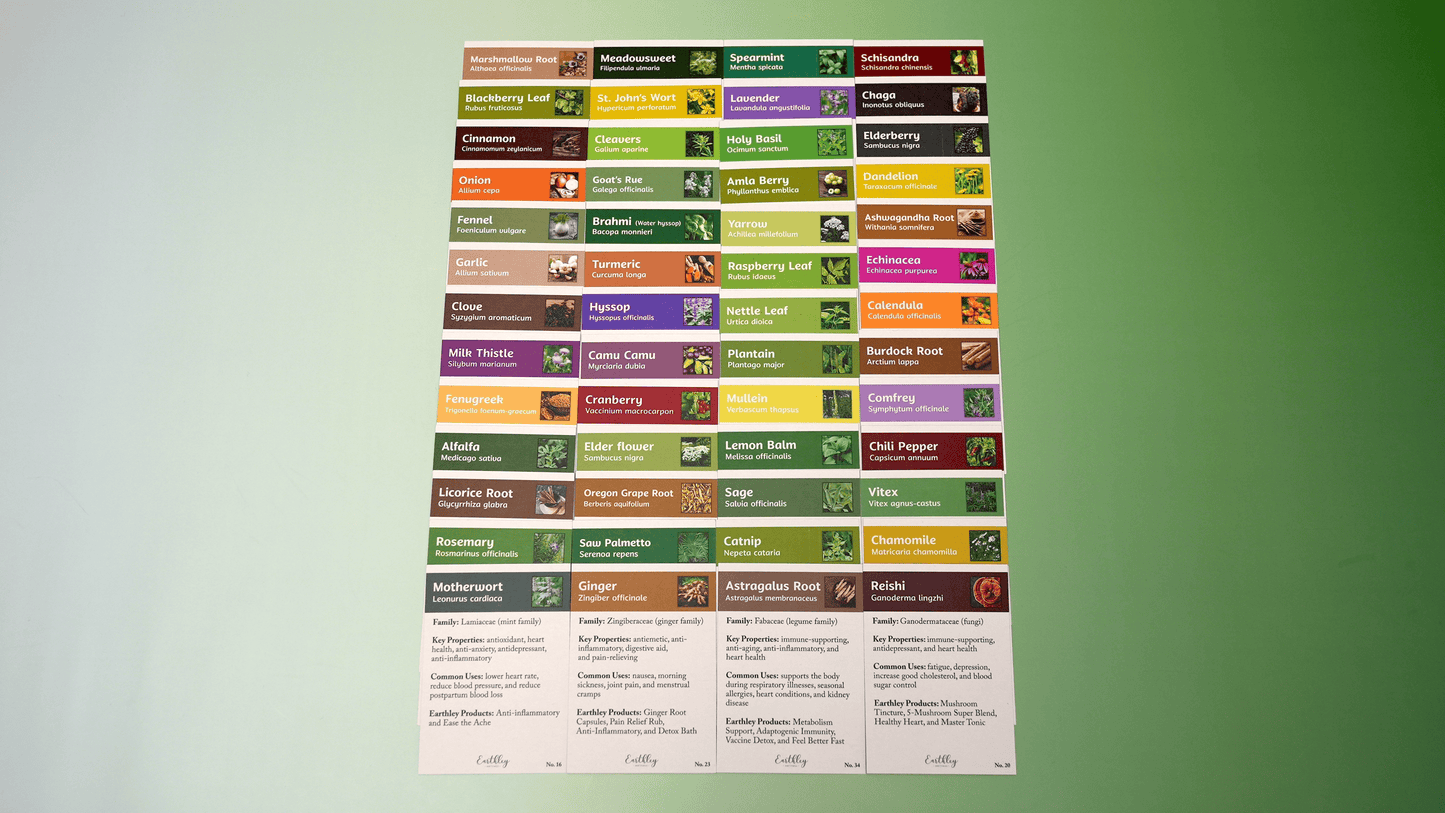 Herbal Flashcards Learn more about the World of Natural Remedies: Herbs & Medicinal Plants!