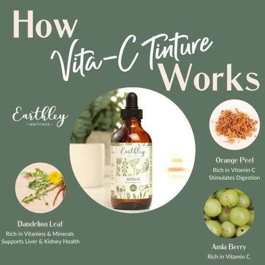 Vita-C – A Natural Source of Vitamin C
