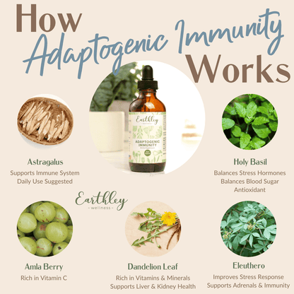 Adaptogenic Immunity
For Daily Stress and Immune Support