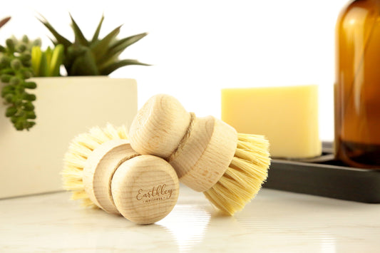 Dish Brush
