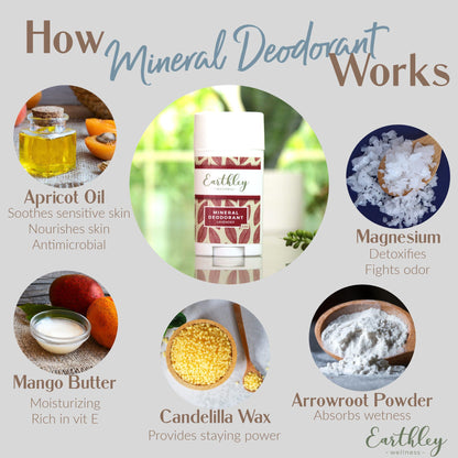 LIMITED EDITION Blueberry Vanilla Mineral Deodorant For Freshness (No Aluminum or Baking Soda)
