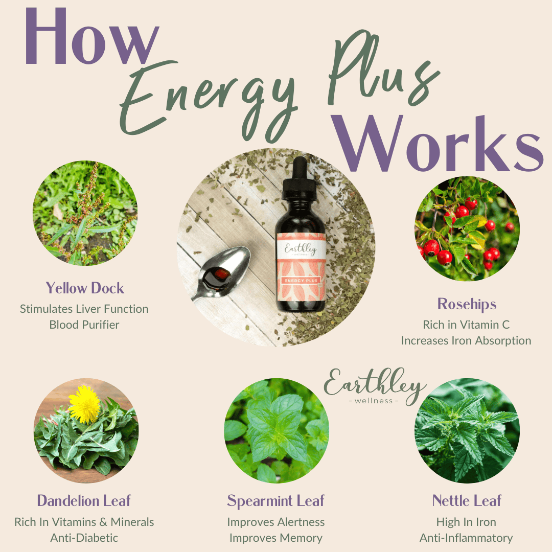 Energy Plus NEW FORMULA – For Healthy Energy, Herbal Iron, and B vitamins