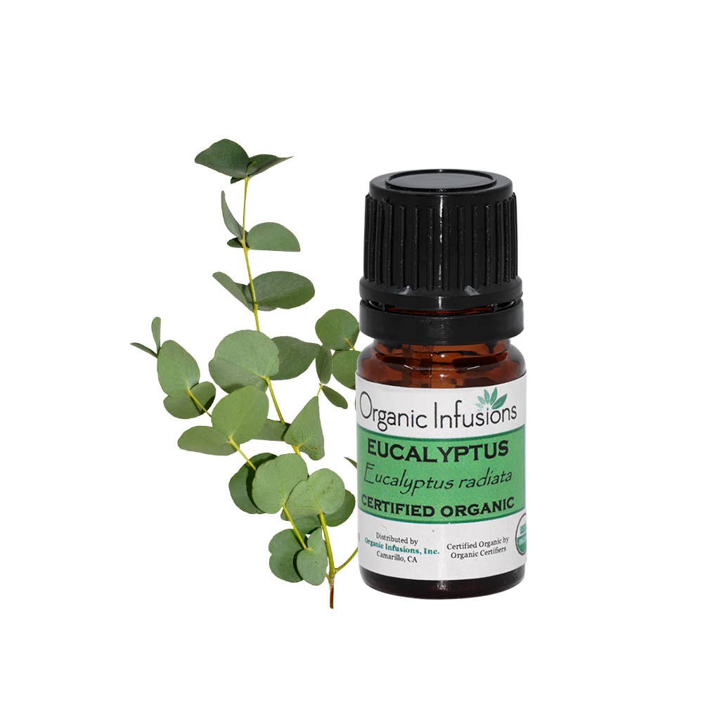 Eucalyptus  Aromatherapy Essential Oil 100% Organic 5ml